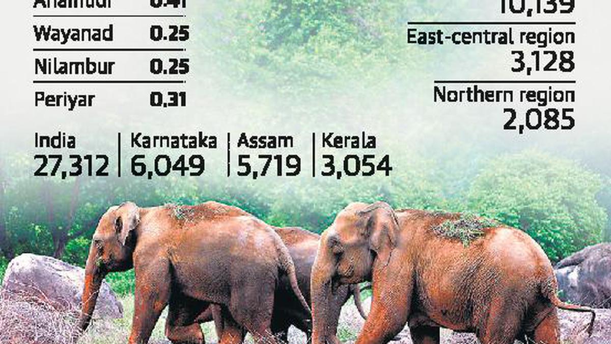 Kerala’s elephant population goes up The Hindu